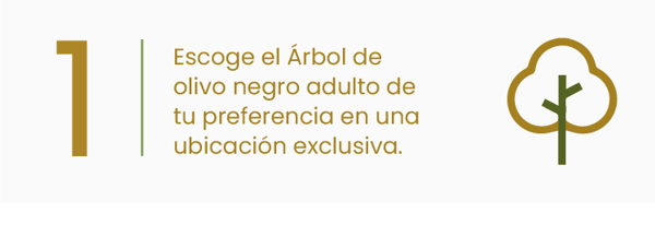 P-1-Mar-18-2025-07-33-39-1455-PM