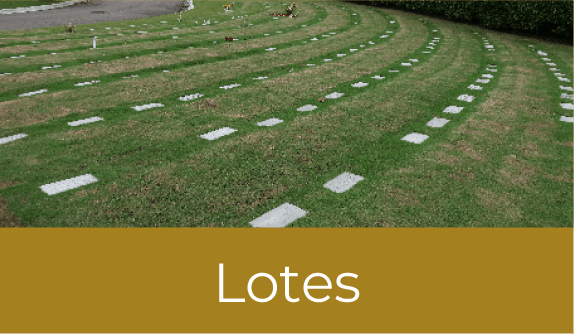 6-LOTES-1