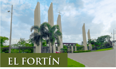 EL FOTÍN