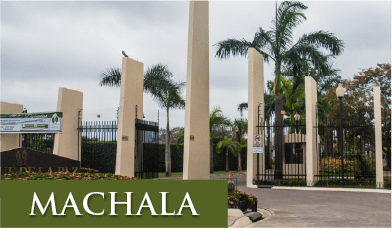 MACHALA-1