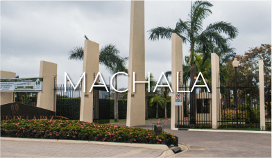 MACHALA_1