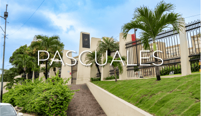 PASCUALES_1