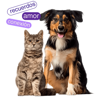 huella-de-vida-perros-gatos