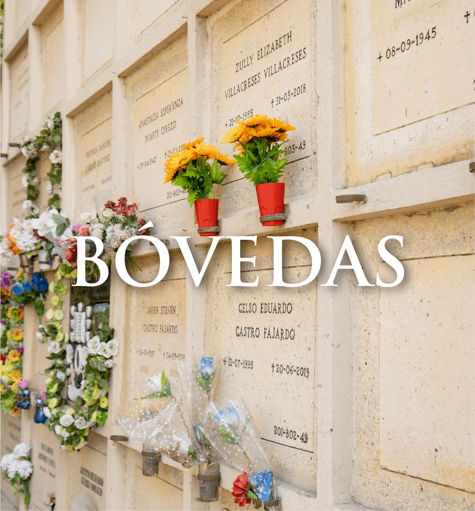 6-IMG-BÓVEDA
