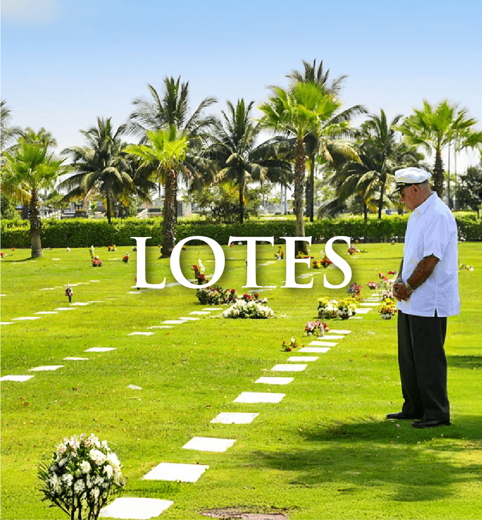 8-IMG-LOTES