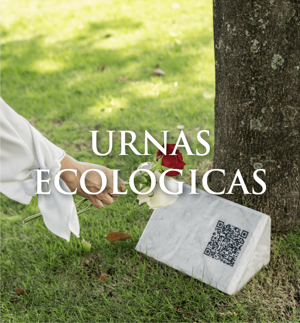 9-IMG-URNAS